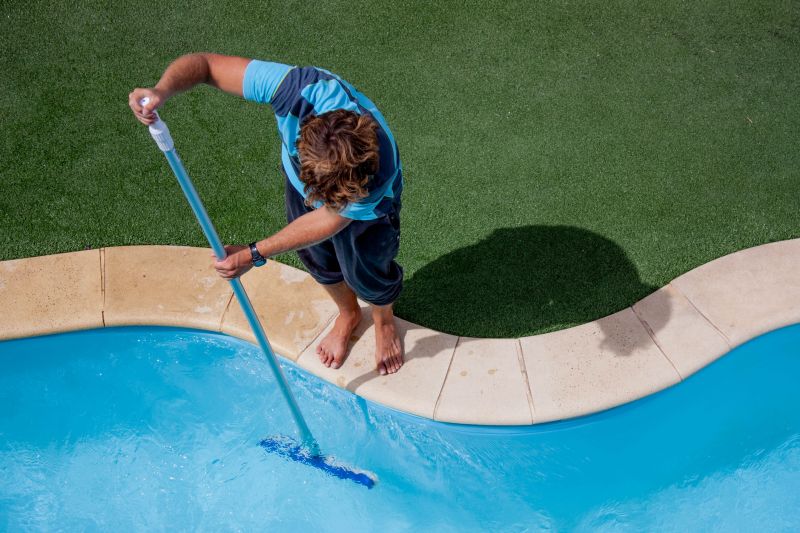 Pool Algae Removal