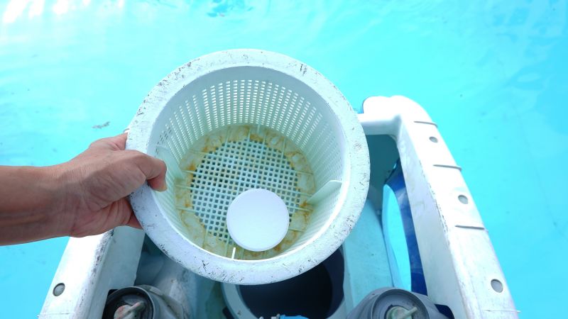 Pool Algae Removal